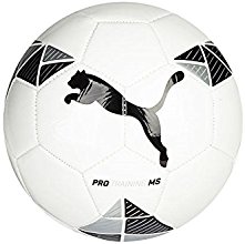 Puma Pro Training MS ball, size 5, blanco-negro, plata metalico