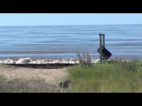 SEA RIM STATE PARK..,jefferson county , texas