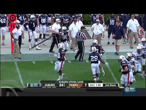 Auburn Spring Game 2015 A-Day - Auburn vs Tigers