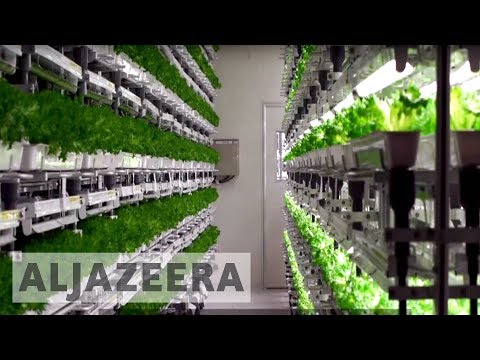 Earthrise - Japan's Future Farms