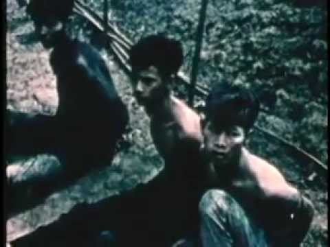 U.S. Navy in Vietnam War: Bombing and Missile Strikes, Mekong Delta River Assault (1967)