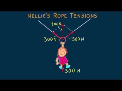 Hewitt-Drew-it! PHYSICS 4. Nellie's Rope Tensions