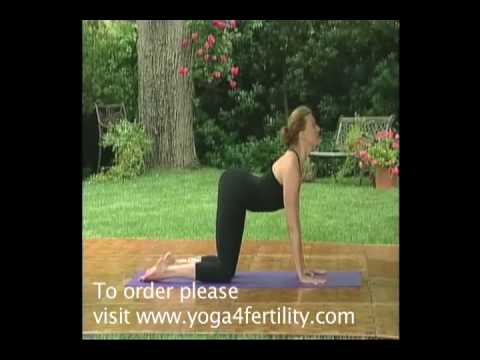 Yoga 4 Fertility with Brenda Strong