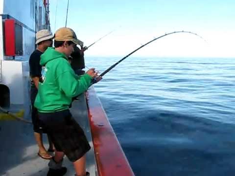 Boy Catches Giant Black Sea Bass with an Avet Reel