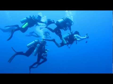 Blue Water Diving, Sulu Sea