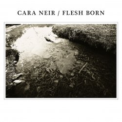 Cara Neir & Flesh Born - Split (2014)