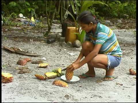 NATRAJTV INDIAN VILLAGE MATTA SURINAM Arowakken tribe Eco tourism