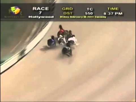 Amazing Greyhound Race.flv