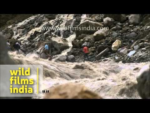 Worst of the Uttarakhand floods: a compilation of frightening imagery