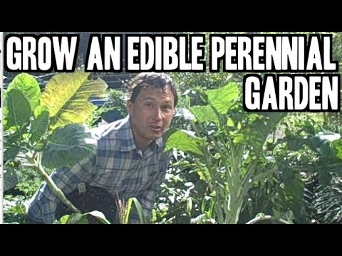 Grow an Edible Biodiversity Perennial Garden with Organic Plants