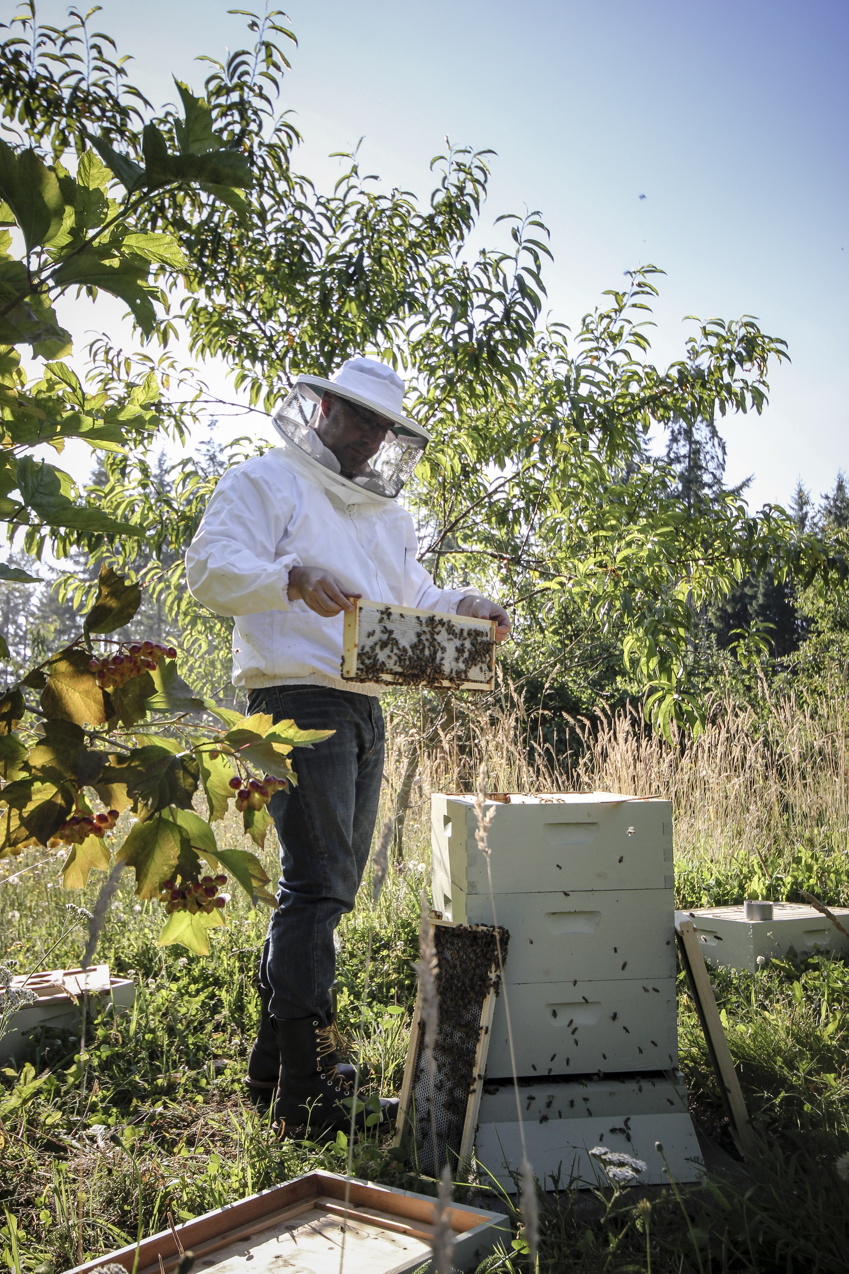 Todd Myers with his bees.