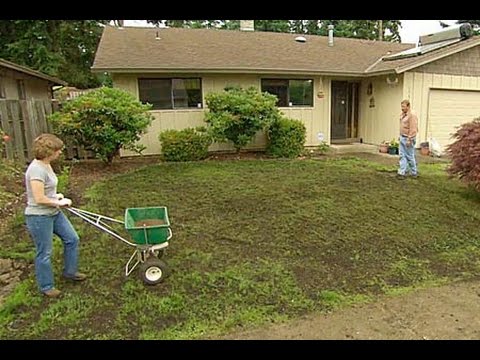 How to Fix a Patchy, Weedy Lawn - This Old House