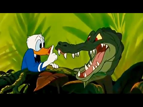 Donald Duck ► Chip And Dale Compilation ☀♥☀ New Disney Cartoon [HD]