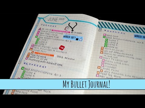 My Bullet Journal!