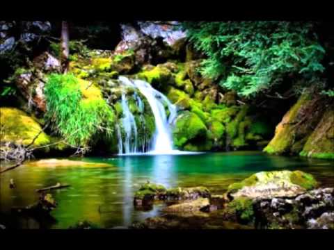 8 HOURS RELAXING MUSIC FOR SLEEP: MEDITATION | SOUND THERAPY | SPA