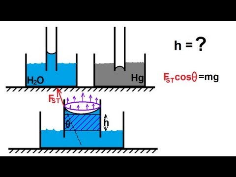 Physics - Mechanics: Fluid Statics (5 of 12): Surface Tension: What Causes Capillary Action?