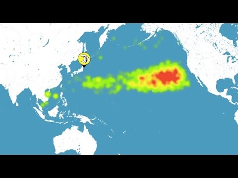 Fukushima breaking news 2015