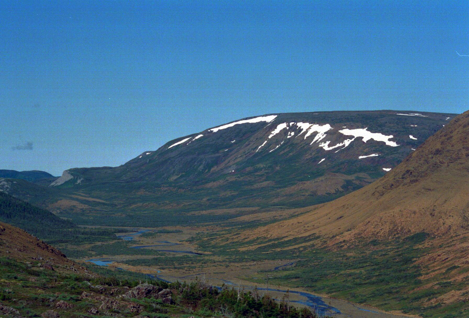 newfoundland