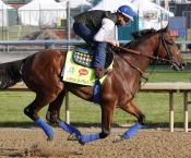 American Pharoah to keep racing