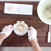 Learn how to shuck a scallop