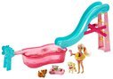 Barbie  Chelsea Doll and Pet Pool Party Playset