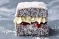 10 top tips for perfect lamingtons