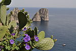 Capri 060.JPG