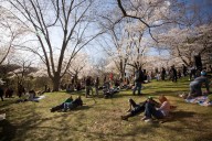 Spring in High Park