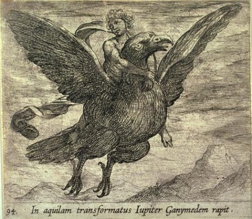 ovid_temp_ganymede