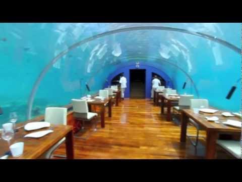 Maldives - A trip to Paradise