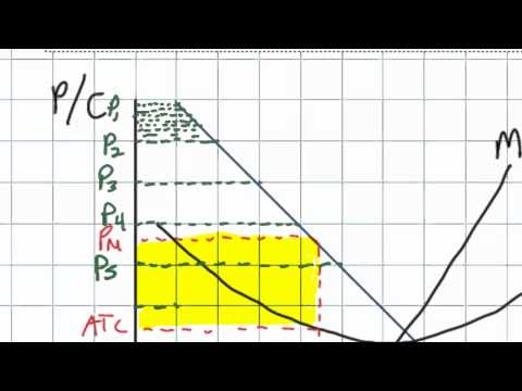 Price Discrimination and its Effect on Efficiency in a Monopolistic Market