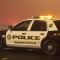 File: A K-9 Unit police patrol car from Roseville, California. (Flickr / Matthew Fern)