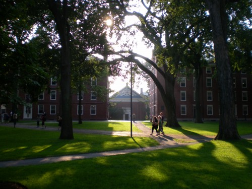 Harvard yard al atardecer