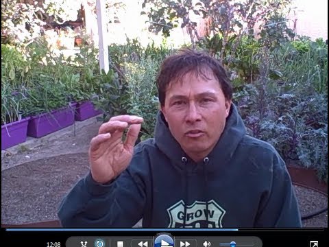 My Home was Searched for Growing Vegetables in my Bathroom