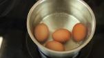 How to boil an egg