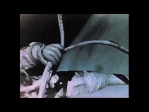 Aleksei Leonov's First Spacewalk