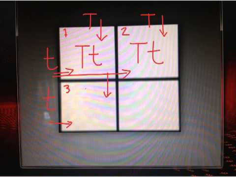 Predicting the Genotypes and the Phenotypes of Offspring using the Punnett Square