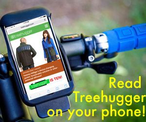 treehugger on phone