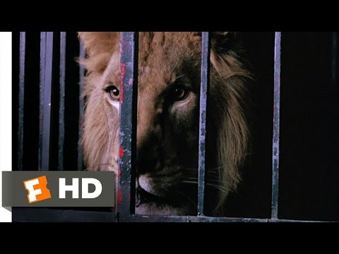 Donnie Brasco (1/8) Movie CLIP - Lefty Gets a Lion (1997) HD