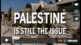 WATCH 'PALESTINE IS STILL THE ISSUE'