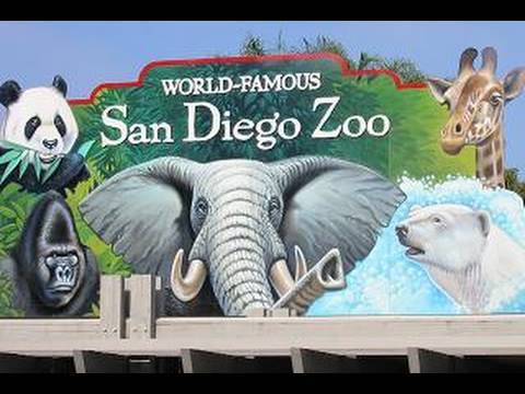 Visiting The San Diego Zoo (in HD)