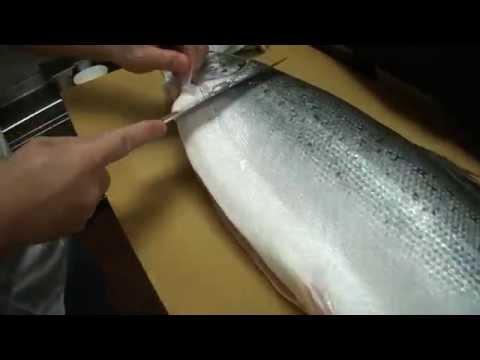 How To Fillet a Whole Salmon - How To Make Sushi Series