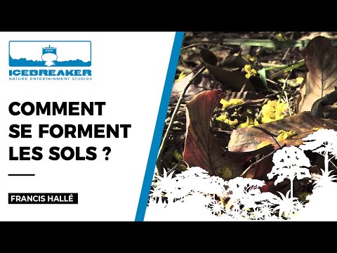 Episode 05 : La formation des sols