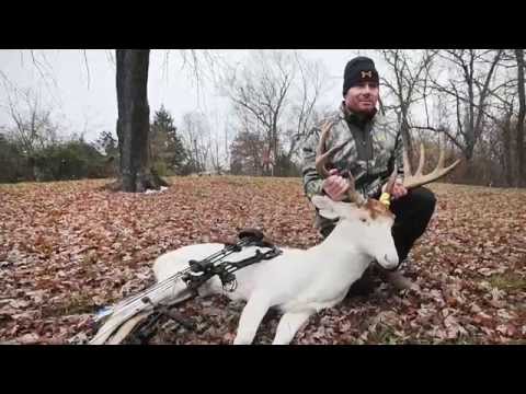 Albino buck harvested in Cape Girardeau County