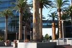 Palm trees and building at the Google headquarters in Mountain View, California