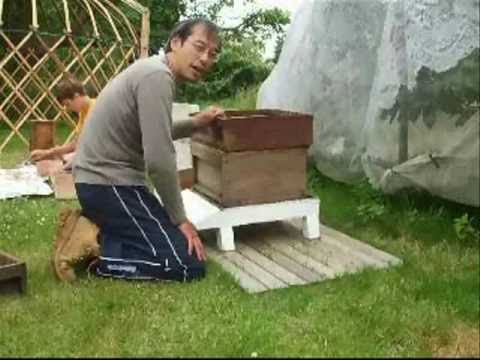 Jeff Lam wwoofing in the UK Part 2.5: Beekeeping