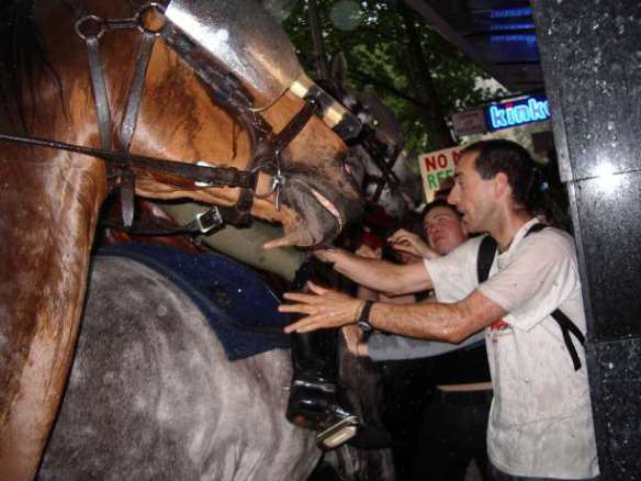 Protesters fend off horses