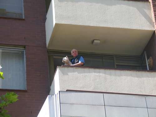 Man and dog watching from balcony