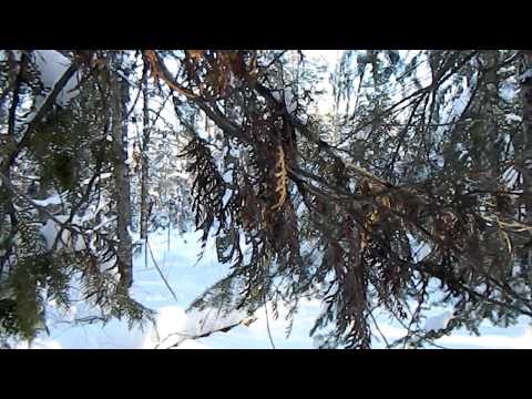 Winter Camping in Northern Michigan.