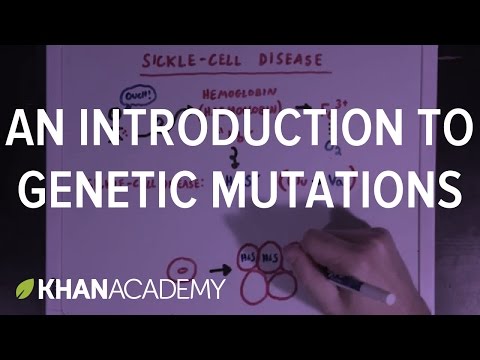 An Introduction to Genetic Mutations